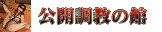 �r�l���T�C�g���J�����̊�